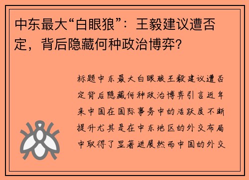 中东最大“白眼狼”：王毅建议遭否定，背后隐藏何种政治博弈？