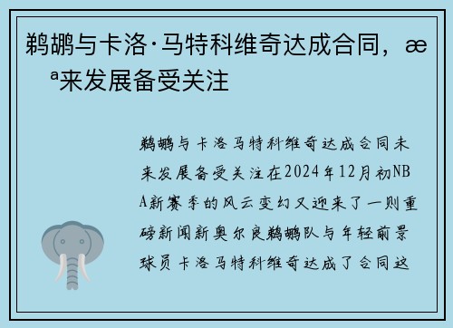 鹈鹕与卡洛·马特科维奇达成合同，未来发展备受关注