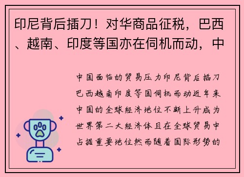 印尼背后插刀！对华商品征税，巴西、越南、印度等国亦在伺机而动，中国面临何种贸易压力？